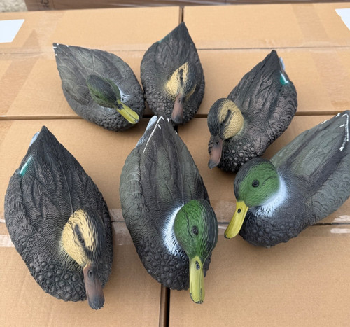 Set teal style decoy - teal,