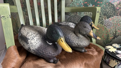Decoy ducks sports plaso - x, 3