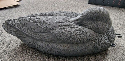 Vintage sleeping preening - sleeping, /