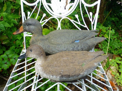 Vintage decoys duck sport - vintage,
