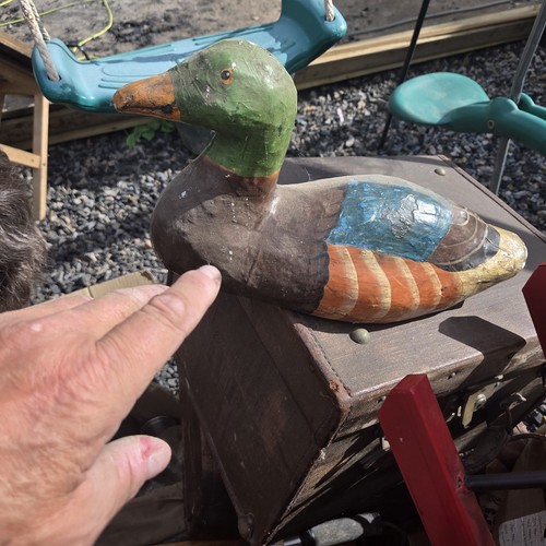 Duck decoy made - duck, we