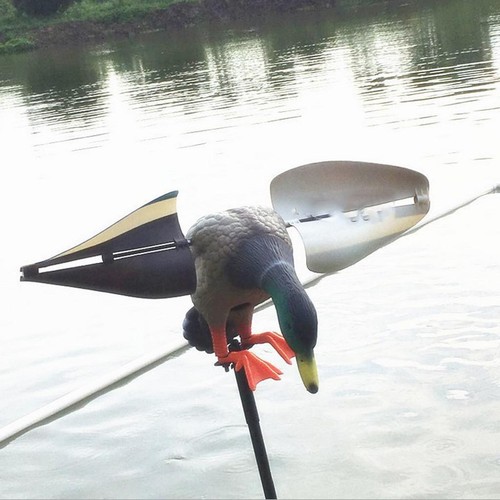 Wind driven duck decoy - duck,