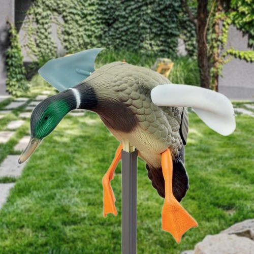 Wind flying duck fly - wind,