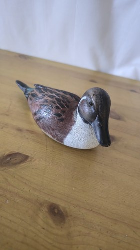Decoy decorative floating duck