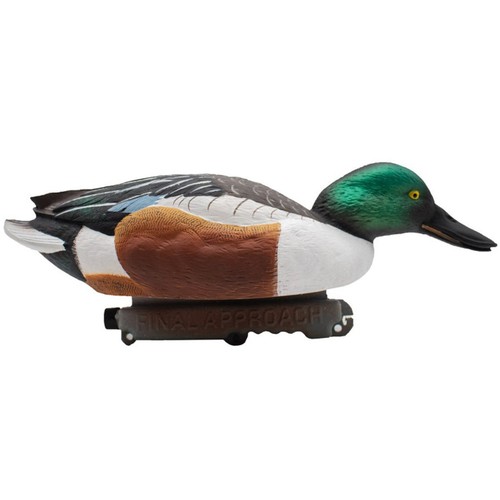 Floating shovelers duck - duck, decoys