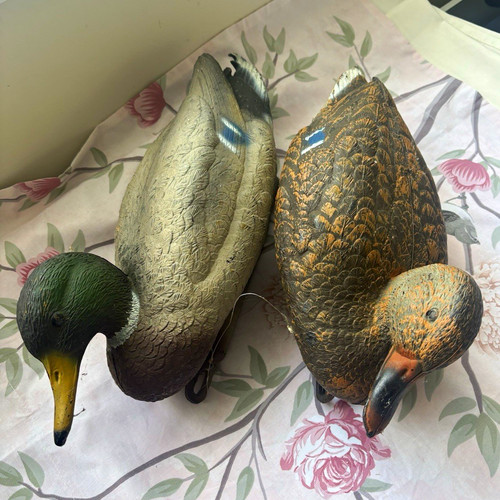 Sport plast mallard floating - sport,