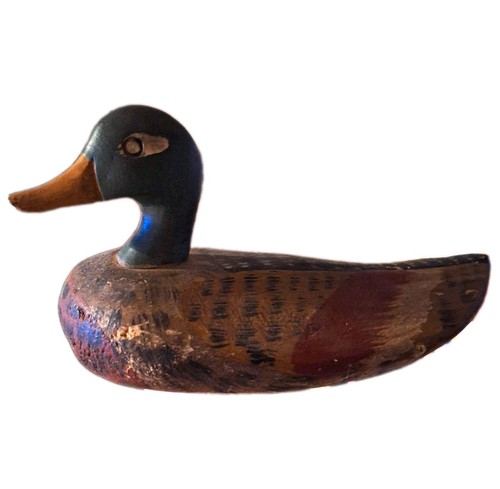 Antique mallard duck - mallard,