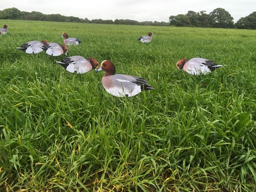 Wigeon silhouette decoys x12 - wigeon,