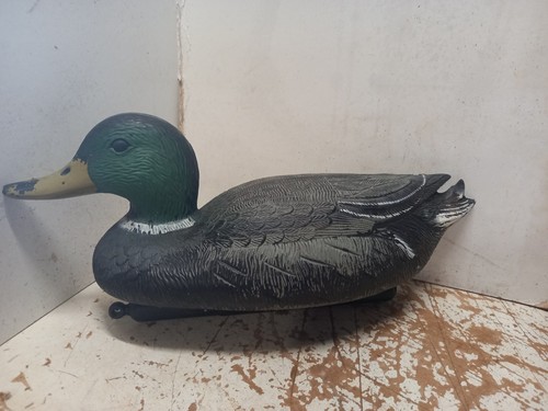 Decoy duck - decoy,