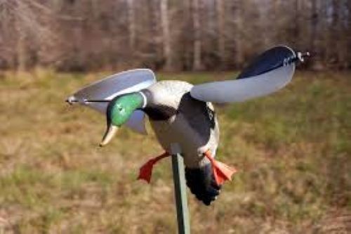 Spinning wing plastic - , duck