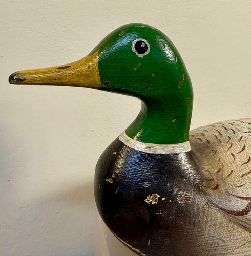 Vintage solid body mallard - vintage,