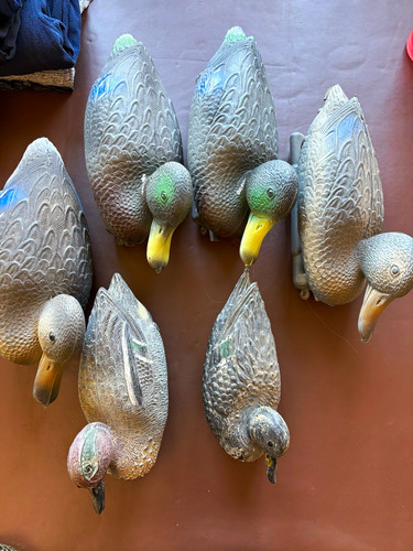 East anglian shooting products - east,