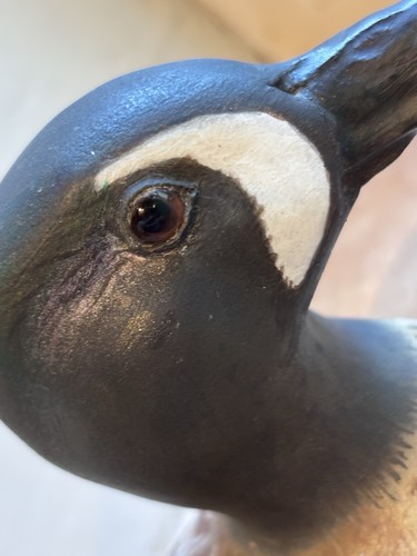 Ian chappell duck decoy hand - ian,