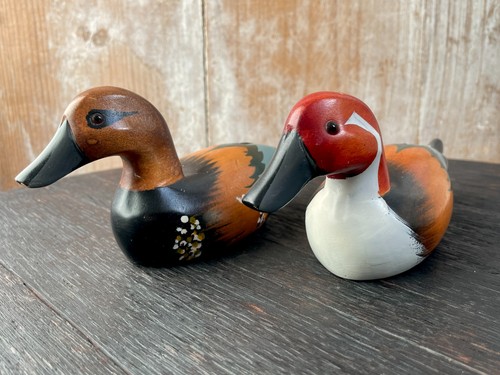 Pintail hand carved canada - pintail,