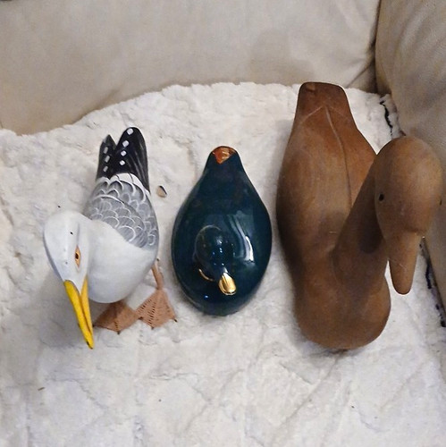 3pc wood duck hunting - wood,